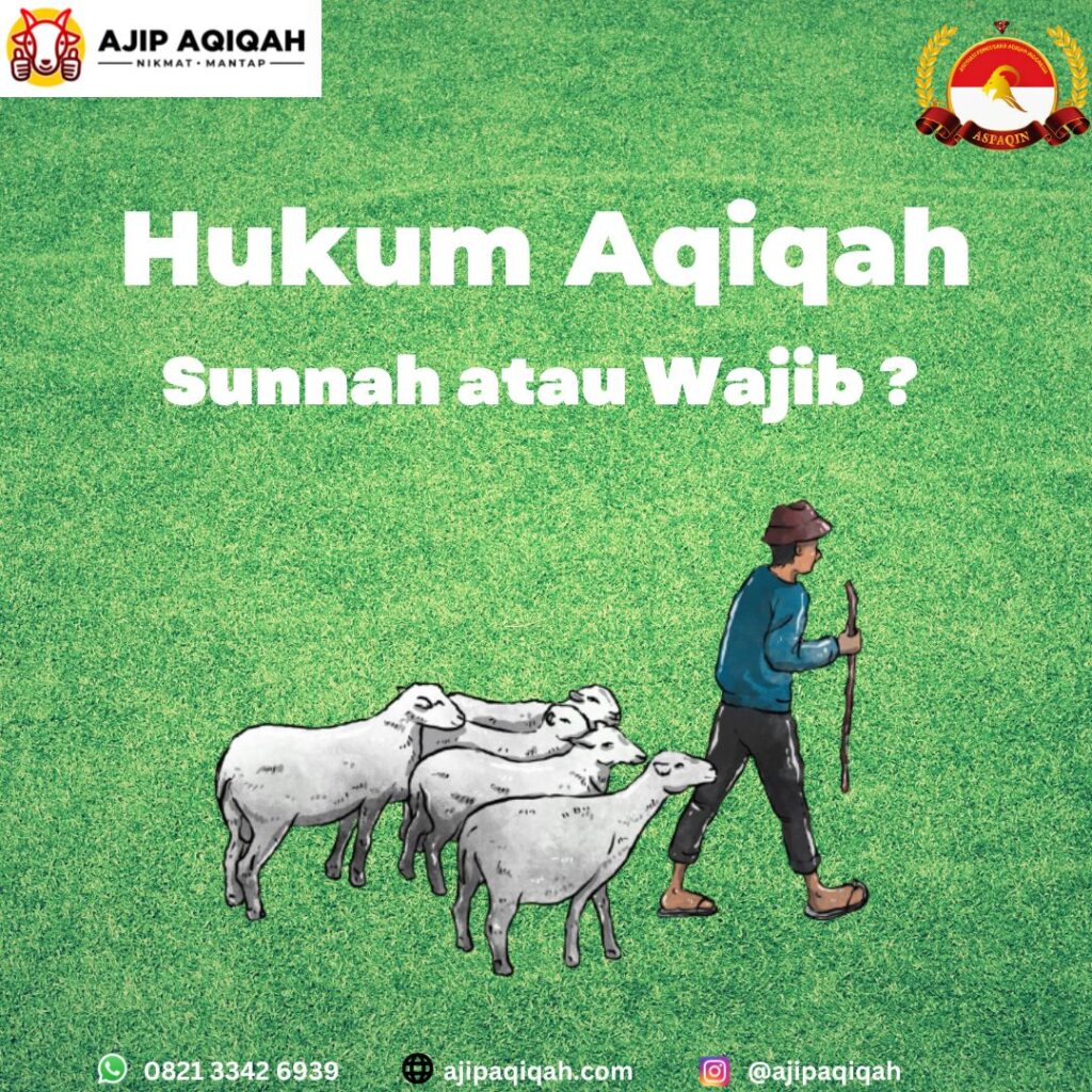 Hukum Aqiqah
